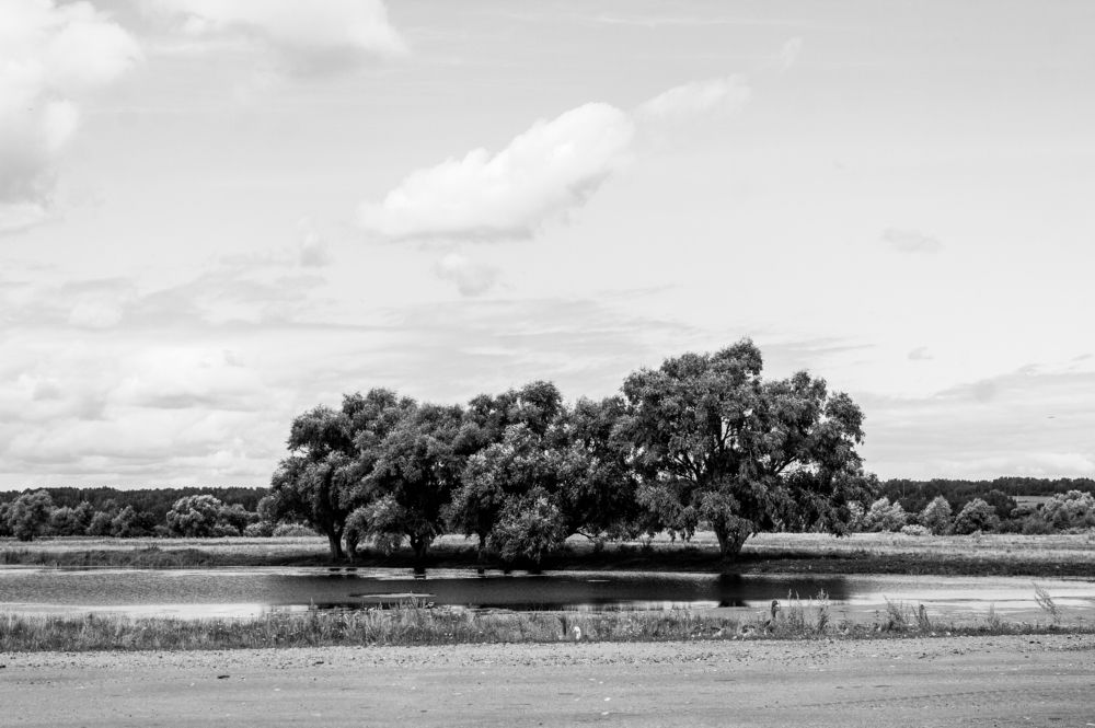 Photograph by Екатерина Брехова