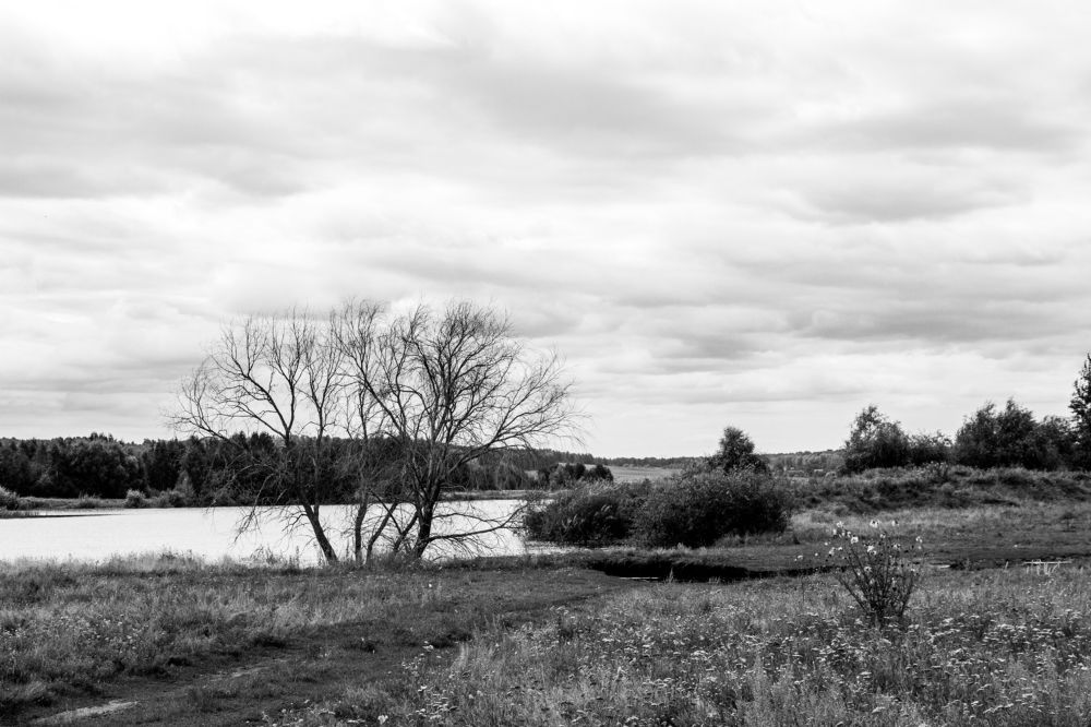 Photograph by Екатерина Брехова