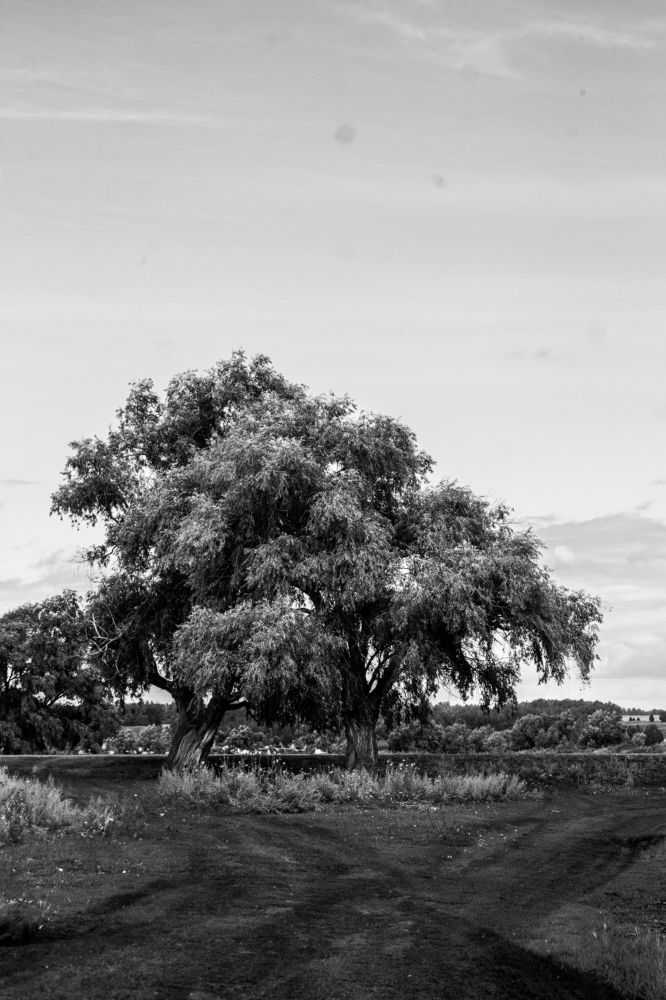 Photograph by Екатерина Брехова