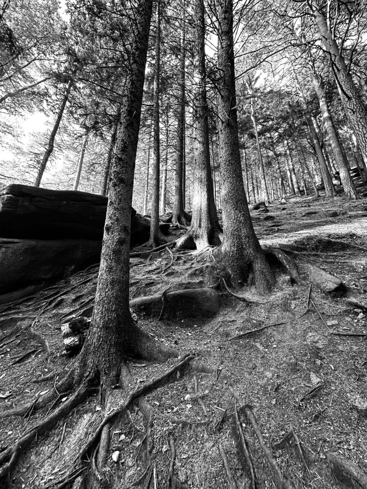 Photograph by Наумова Татьяна