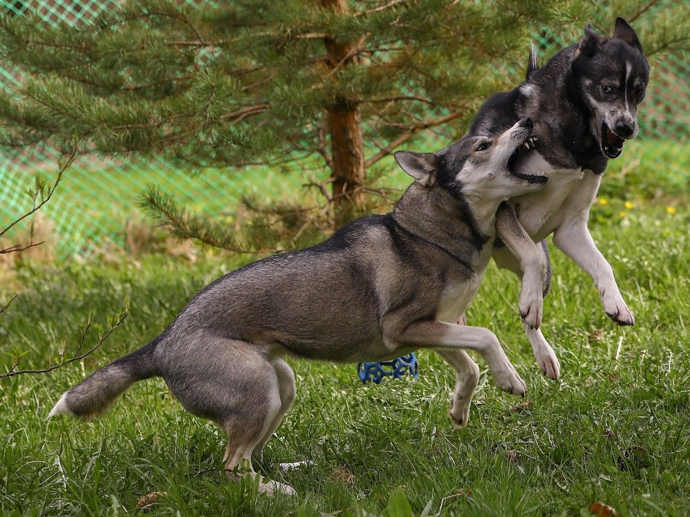 Photograph by Елена Одынец