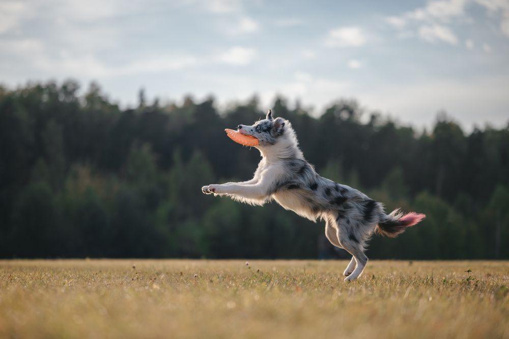 Photograph by Анастасия Жучкова