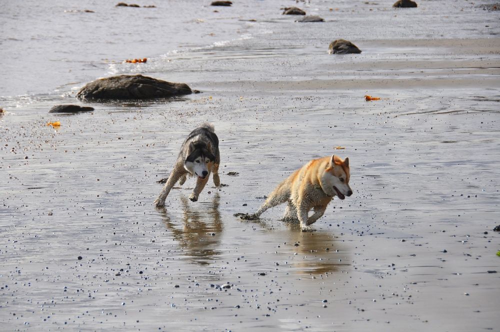 Photograph by Евгений Захаров