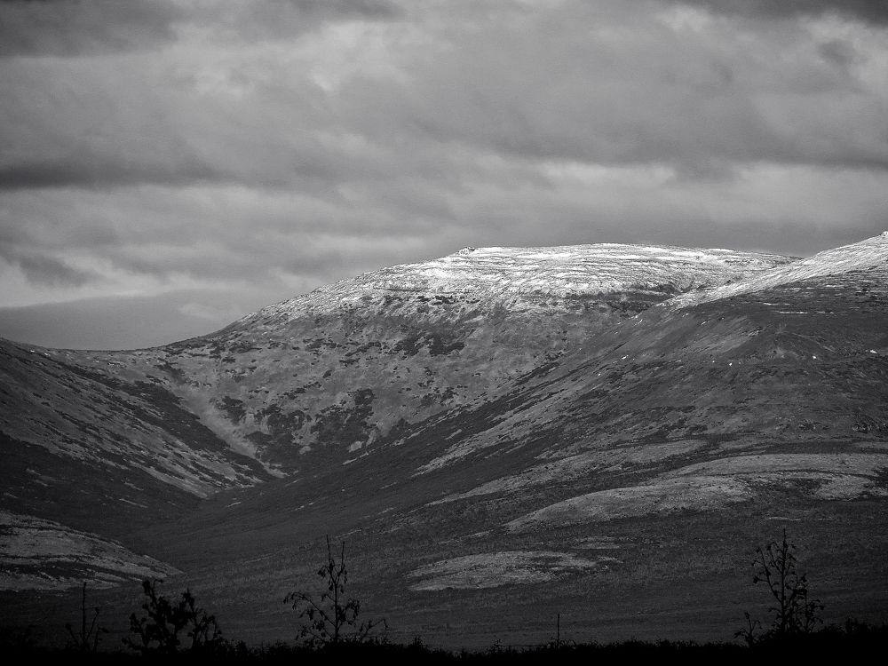 Фотография автора Александр Лютиков