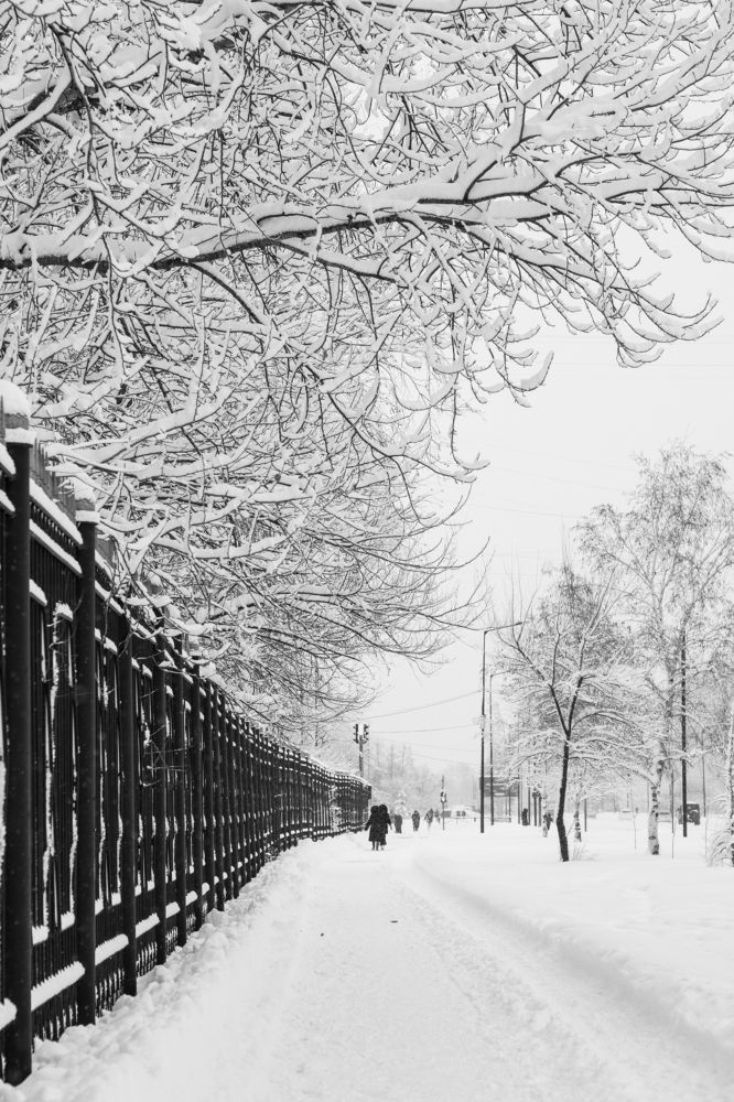 Photograph by Анна Осинцева