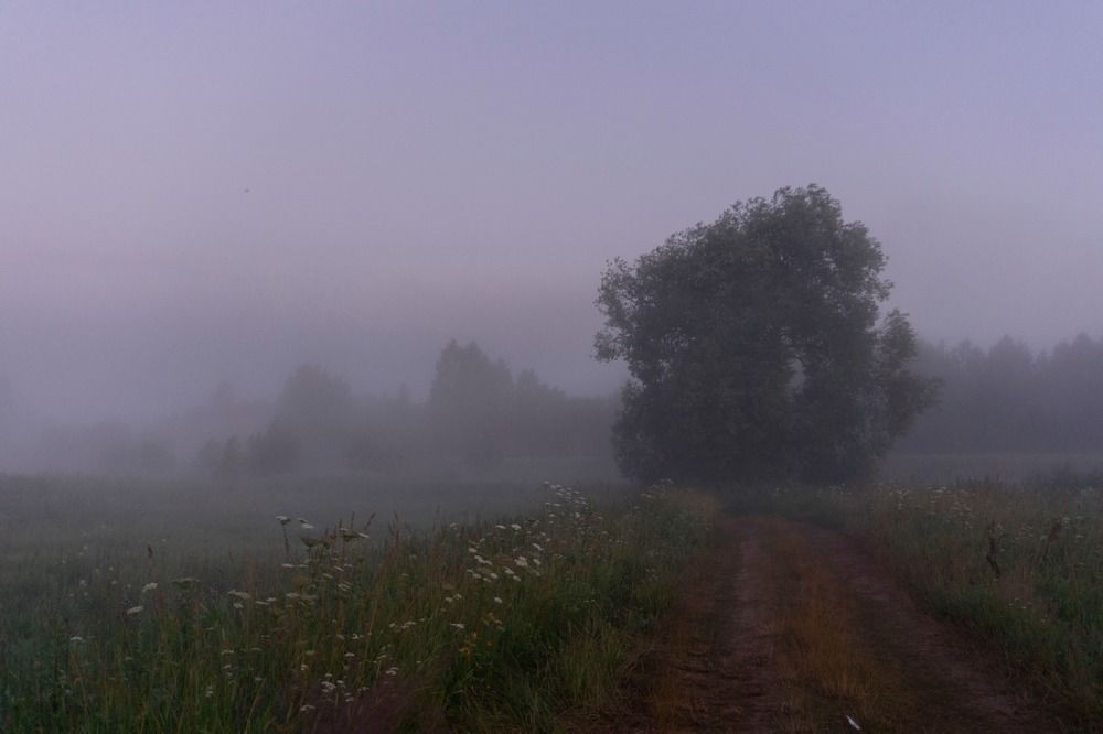 Фотография автора Светлана Егорова