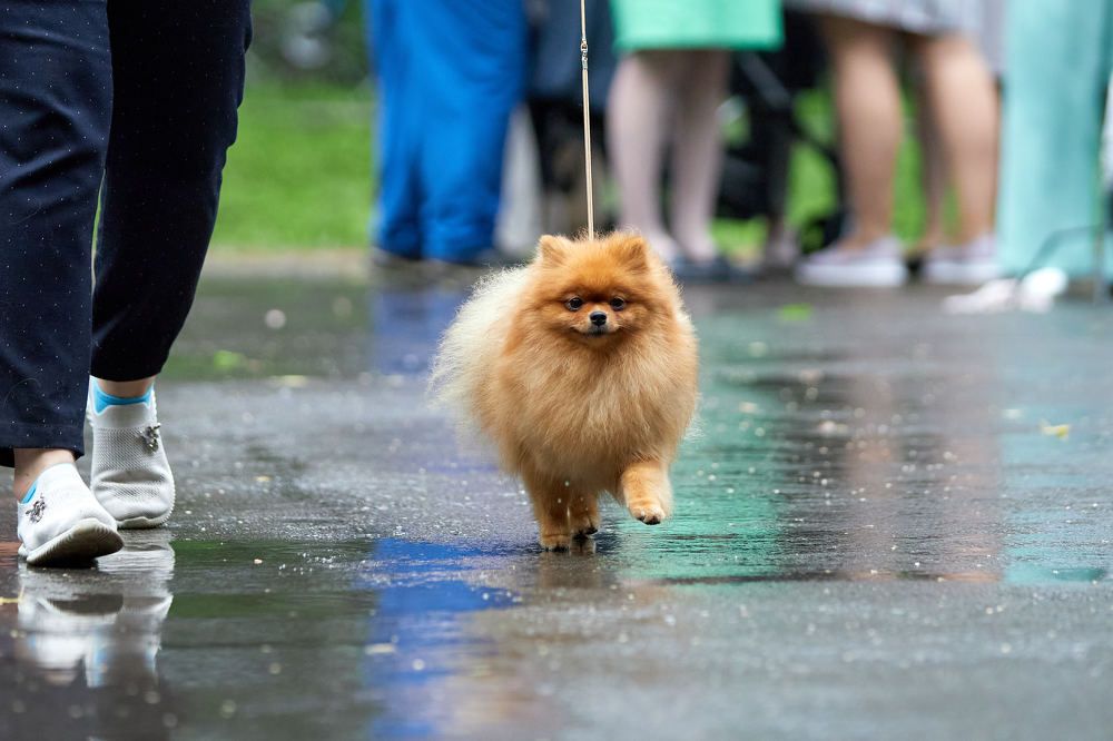 Photograph by Константин Кузнецов