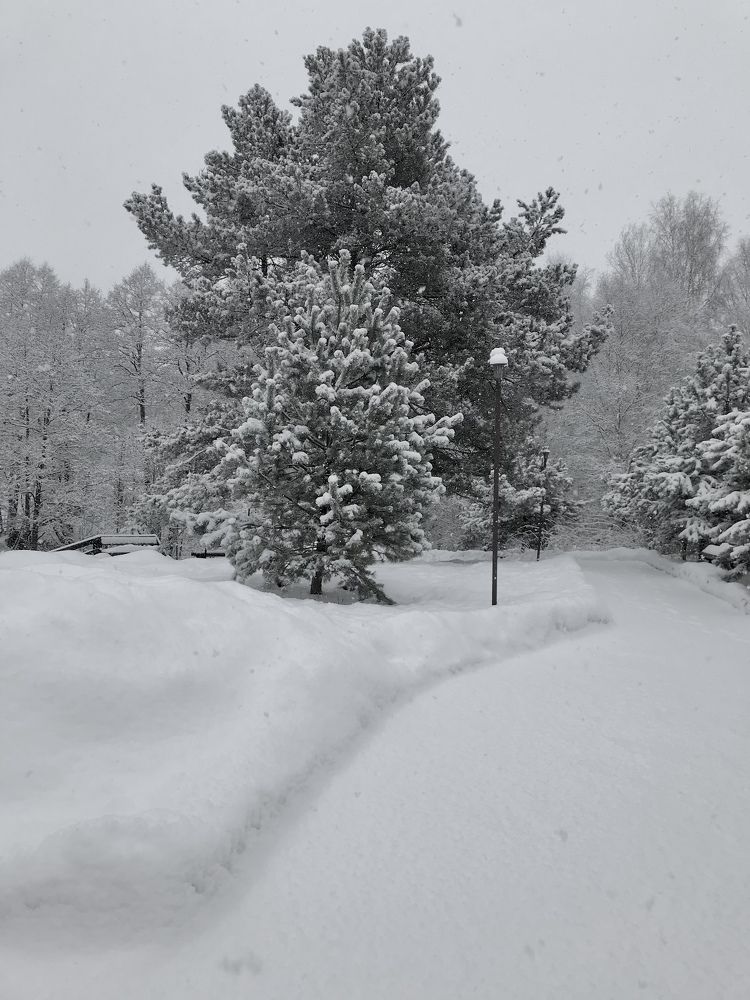 Photograph by Надежда Ткаченко