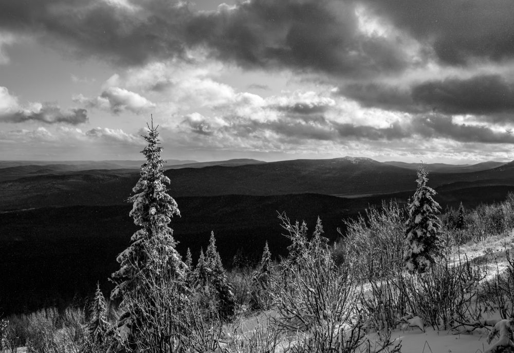 Photograph by Павел Новосёлов