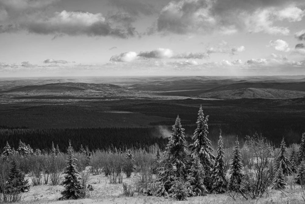 Photograph by Павел Новосёлов