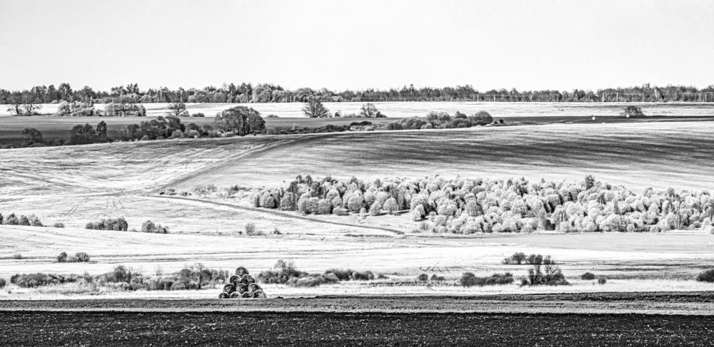 Photograph by Алена Лосева