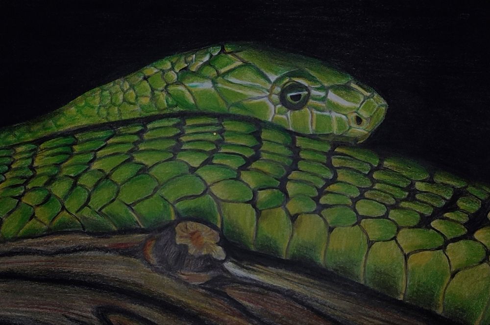 Photograph by Ирина Строкова