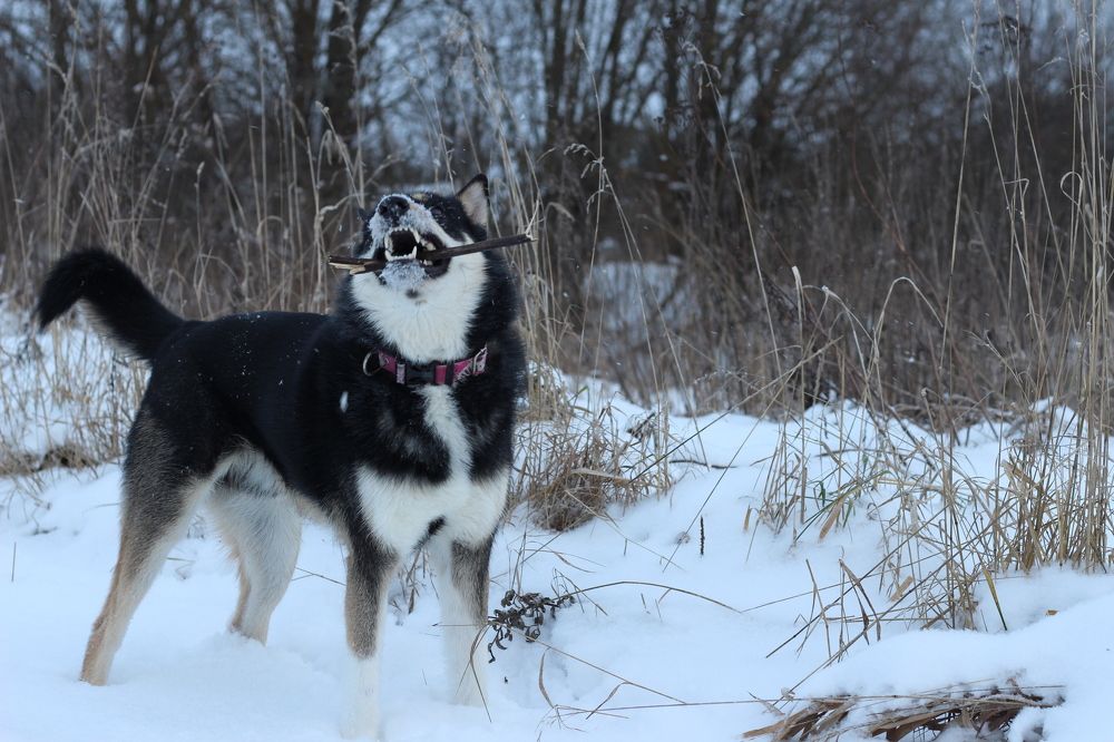 Photograph by Елена