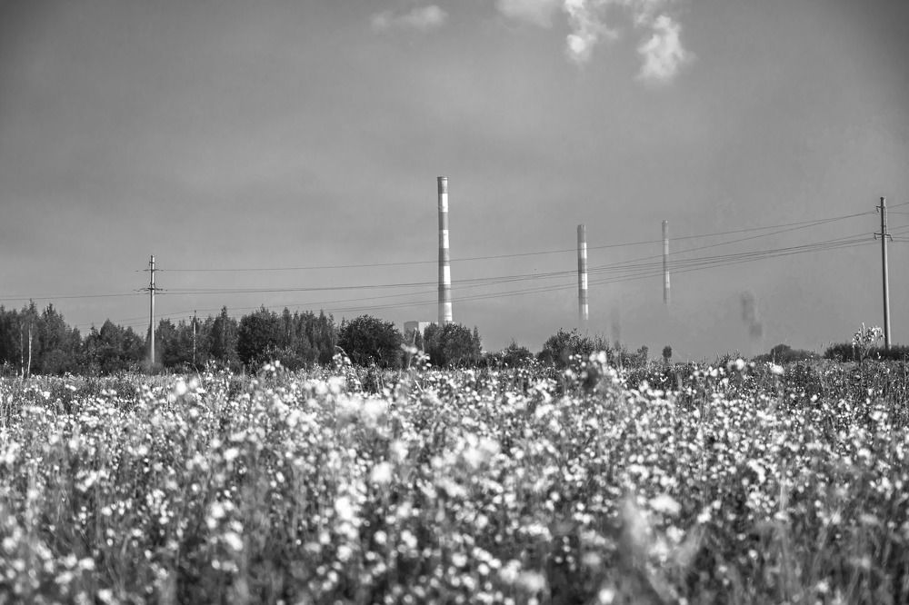 Photograph by Любовь Перевозникова