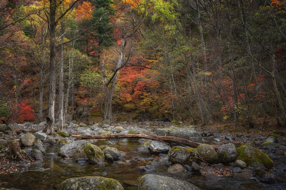 Photograph by Алена Котова