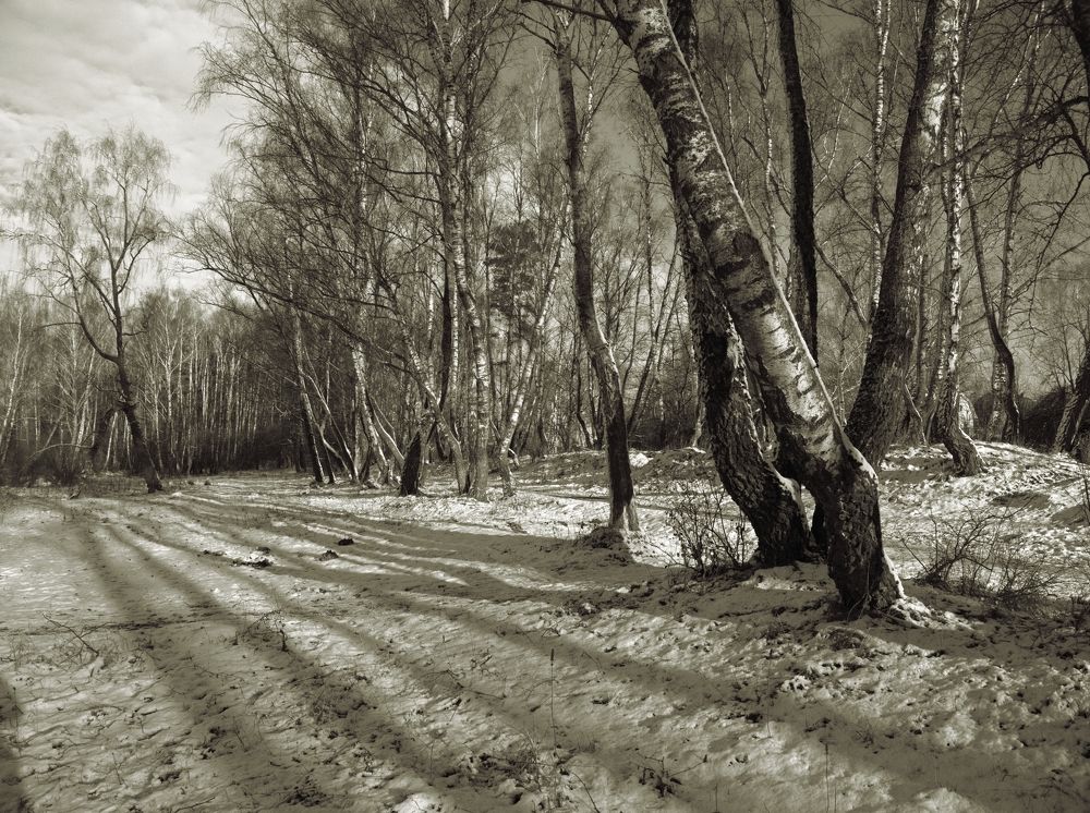 Photograph by Виктор Комиссаров