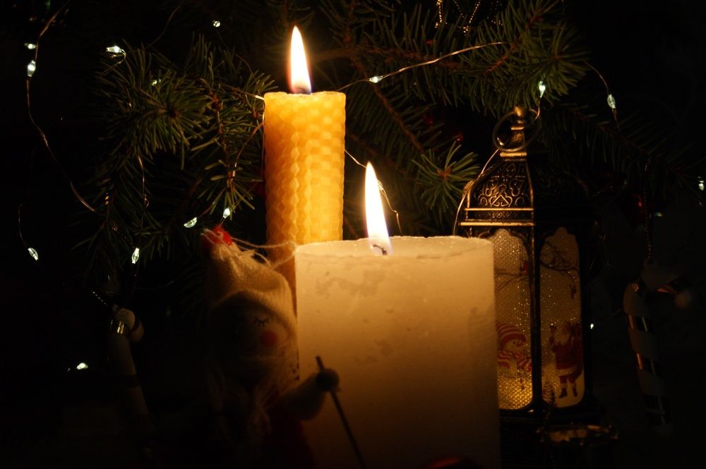 Photograph by Елена