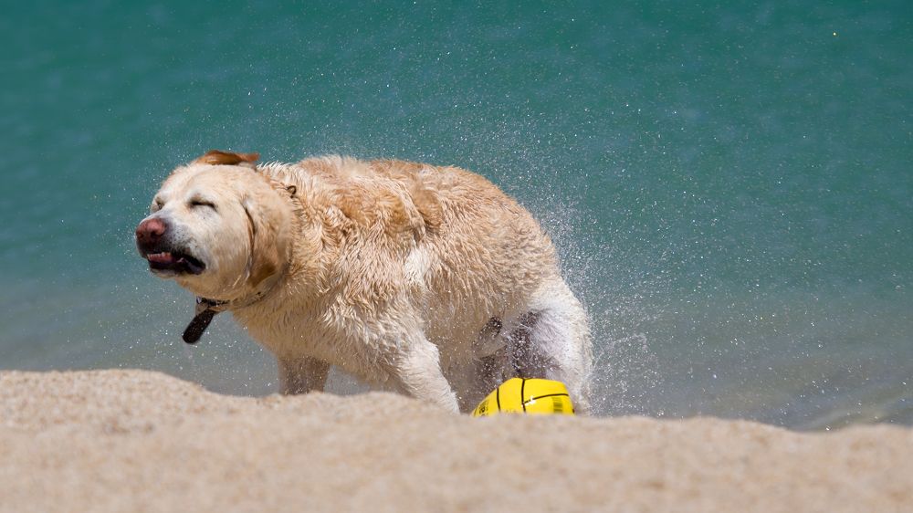 Photograph by Гребенников Сергей