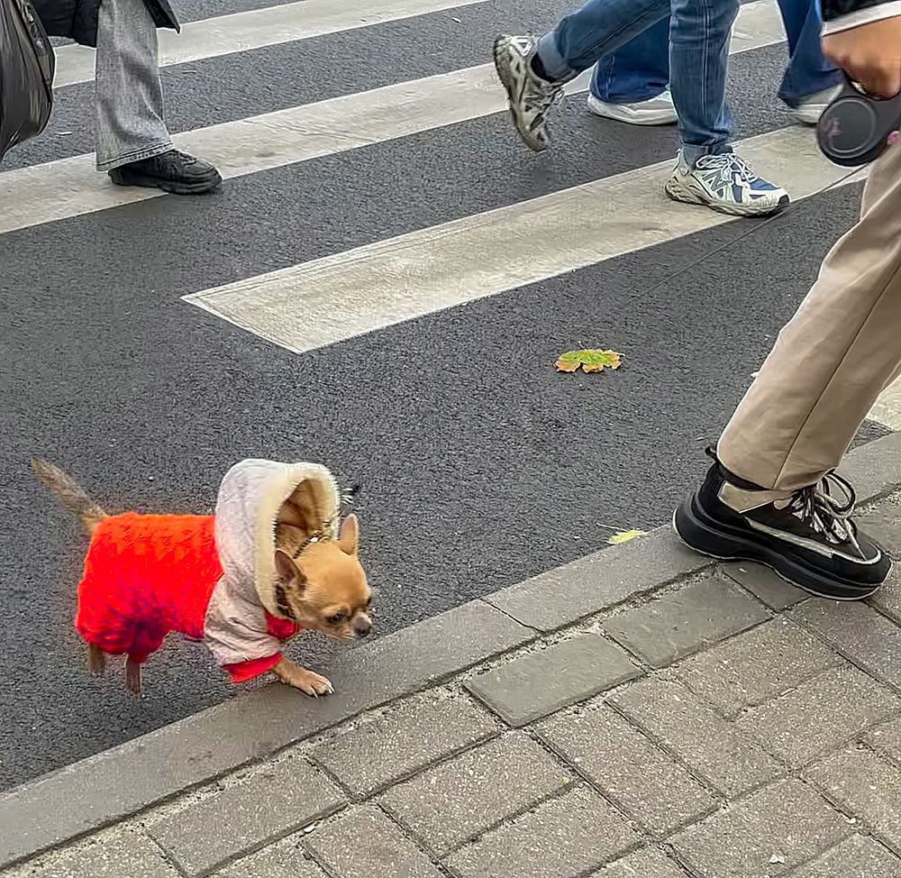 Фотография автора Графов Борис