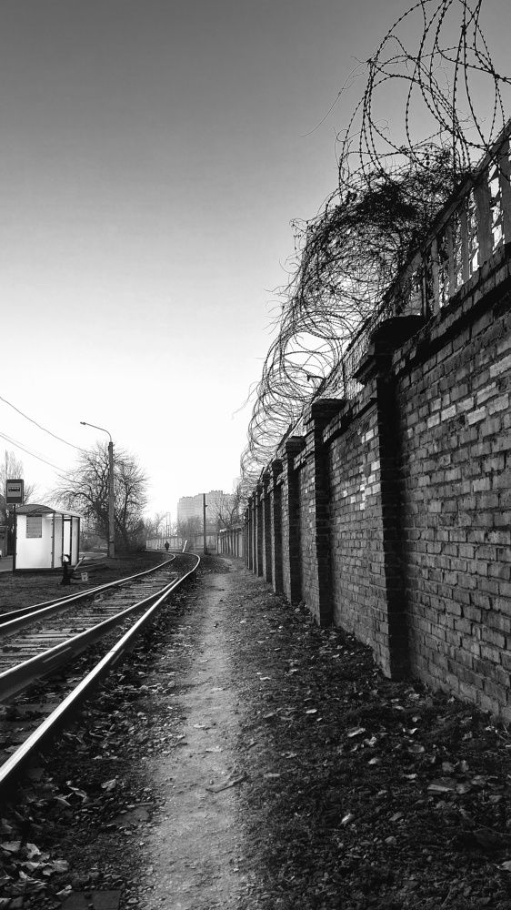 У каждого своя дорога