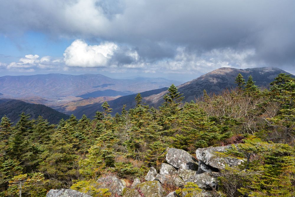 Photograph by Алена Котова