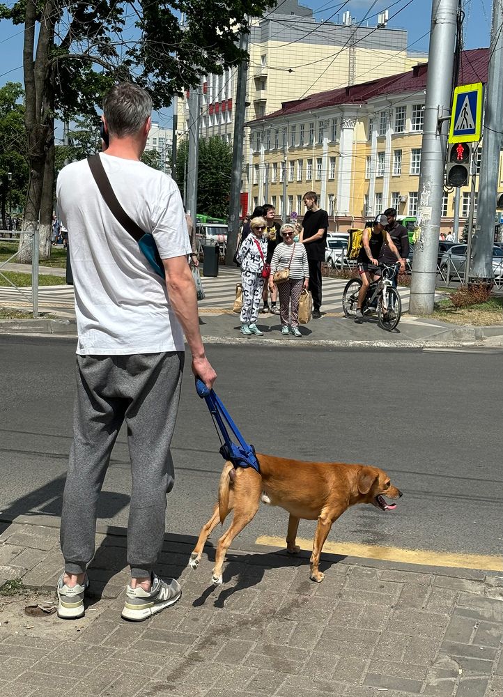 Фотография автора Графов Борис