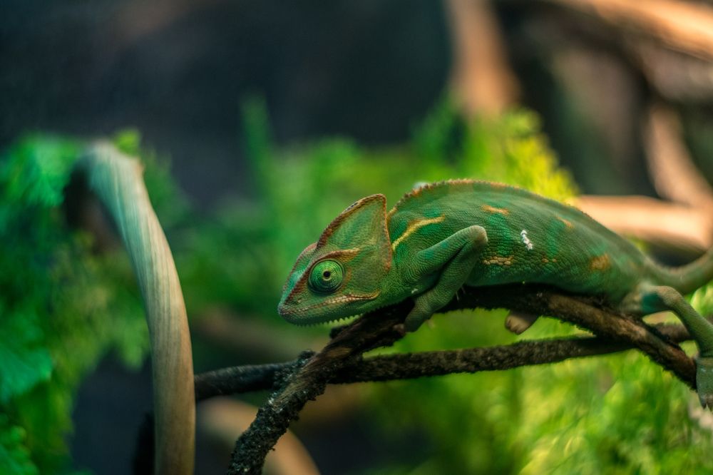 Photograph by Дина