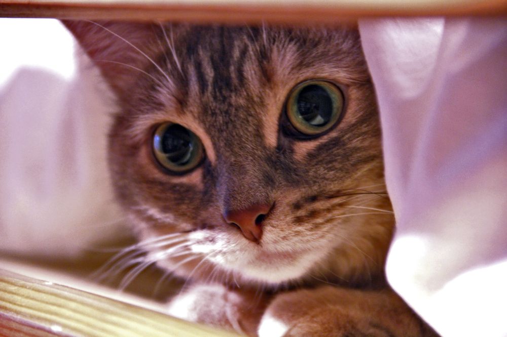 Photograph by Максим Фролов