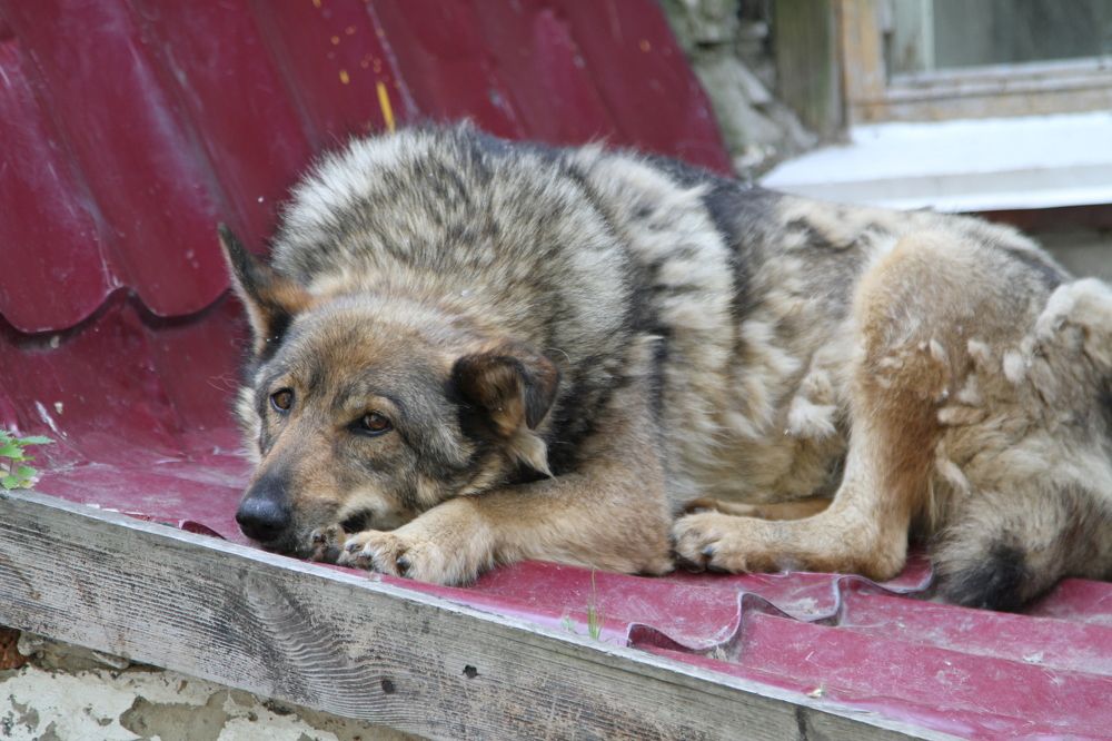 Photograph by Максим Фролов