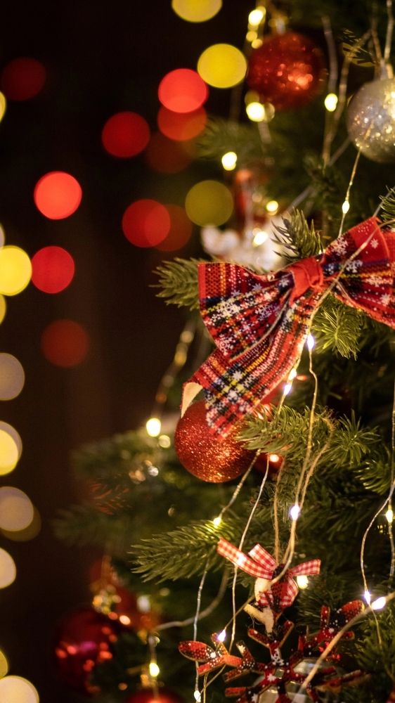 Фотография автора Александр Черепанов