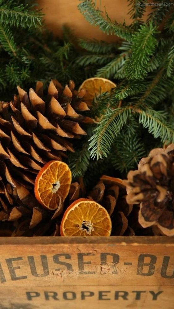 Фотография автора Александр Черепанов