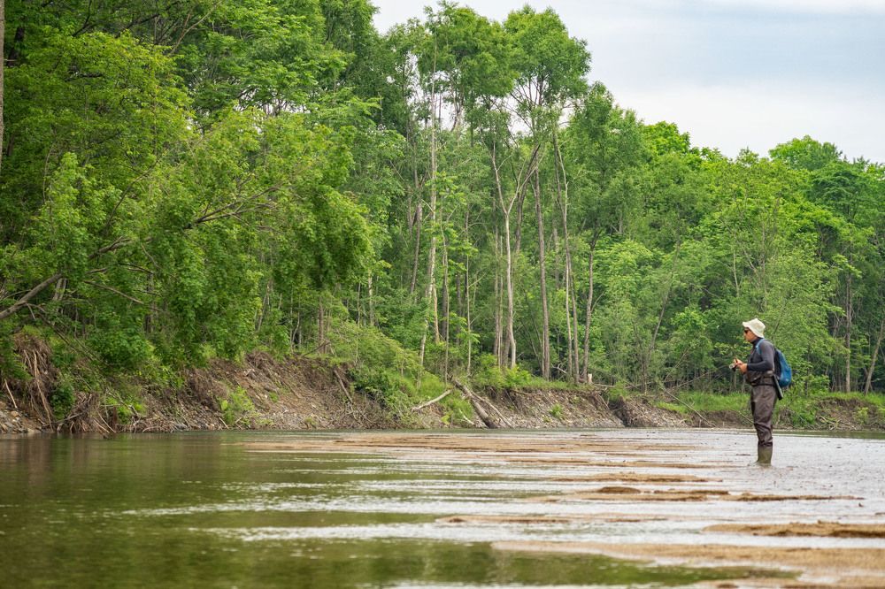 Photograph by Алена Котова