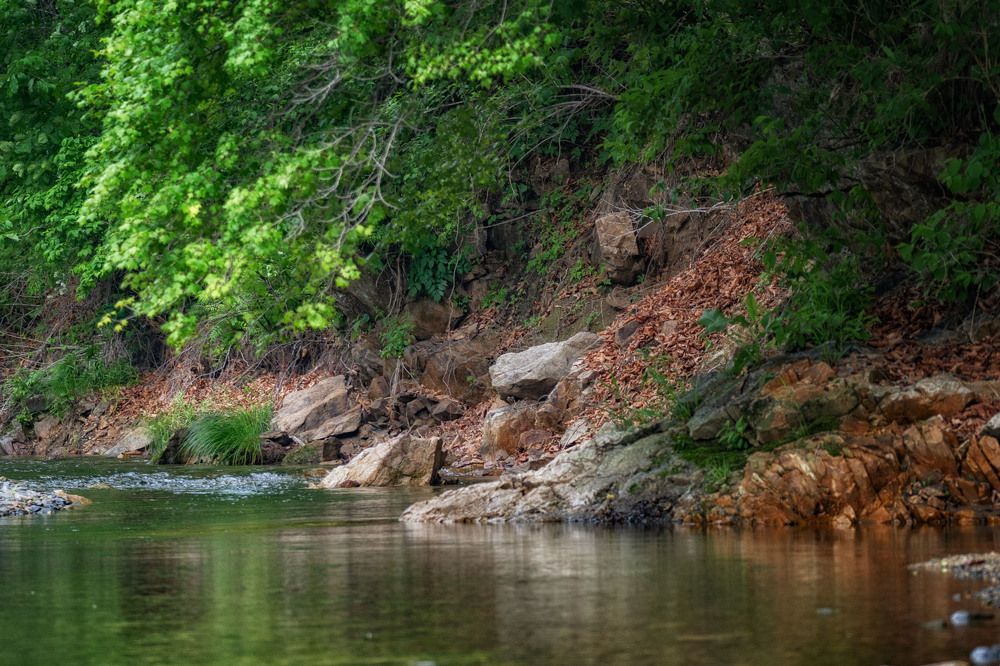 Photograph by Алена Котова