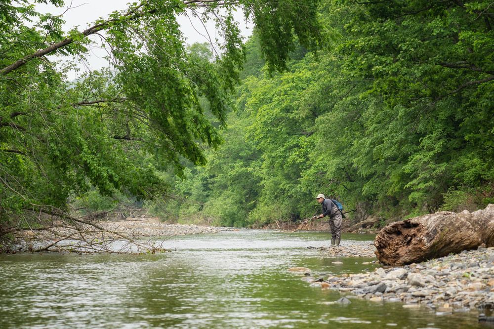 Photograph by Алена Котова