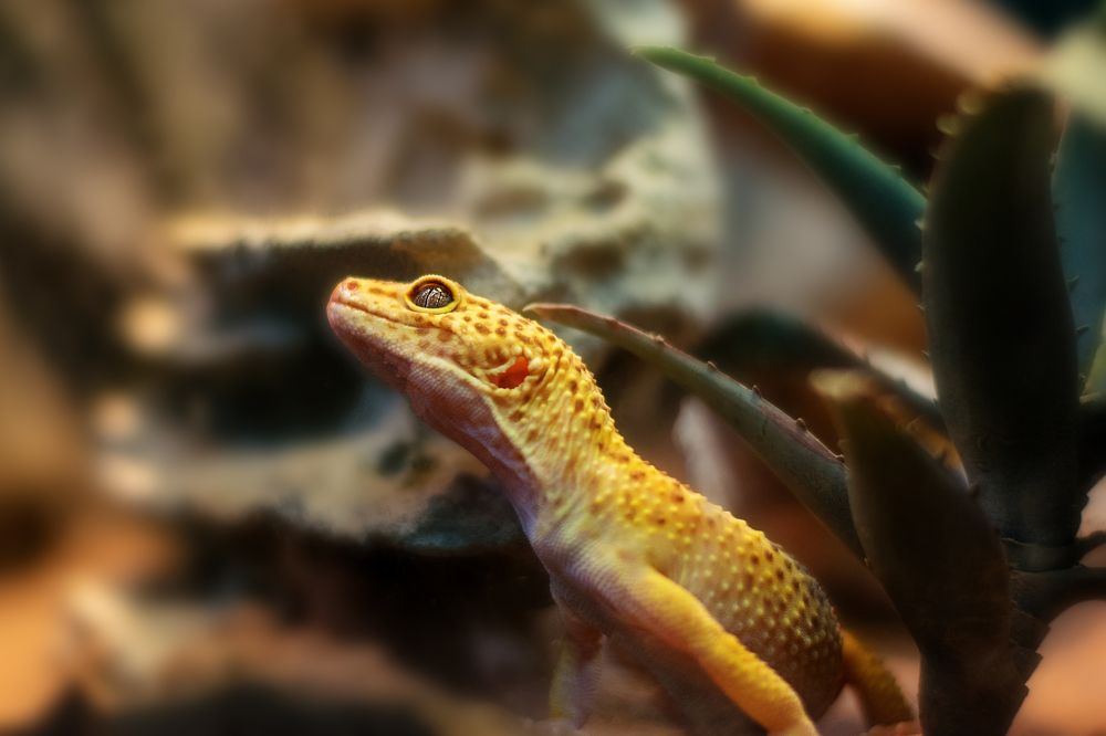 Photograph by Дина