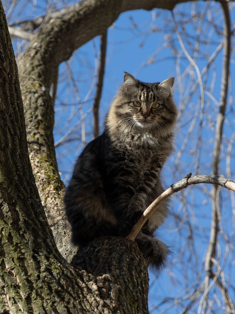 Photograph by Максим Фролов