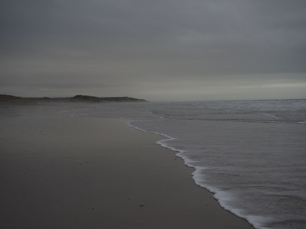 Photograph by Александра Шилова