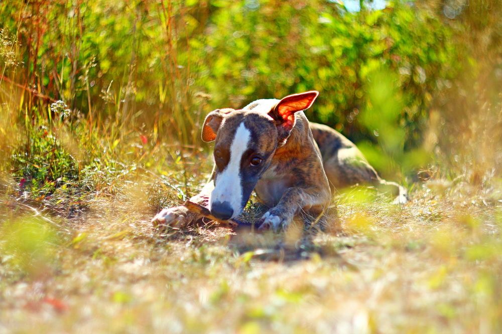 Photograph by Леонид Уральский