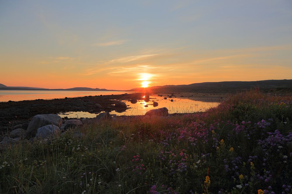 Цветущий закат