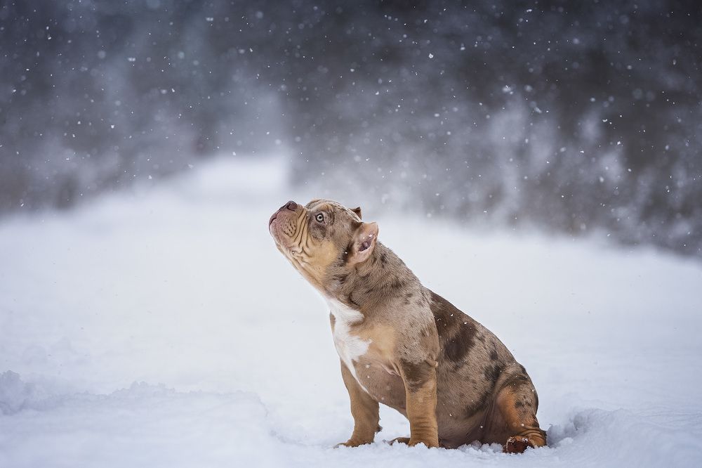 Photograph by Nadezhda