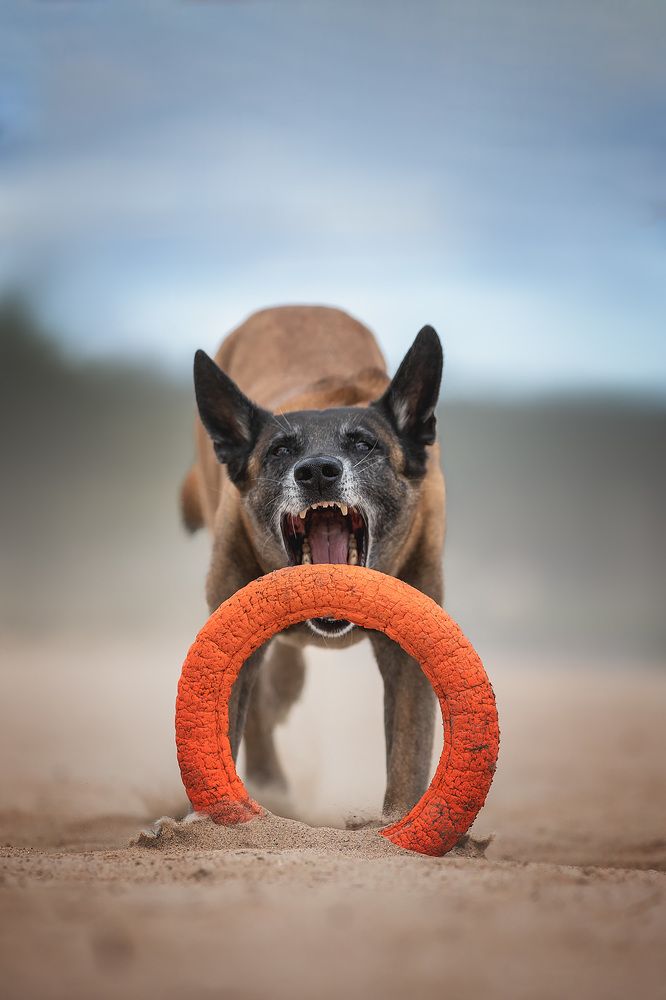 Photograph by Nadezhda