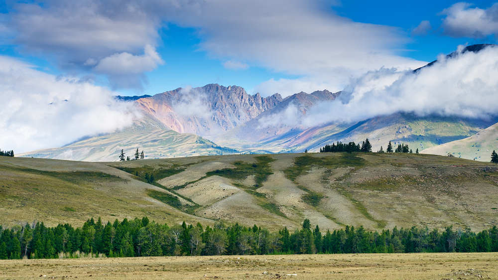 Photograph by Александр Потапов