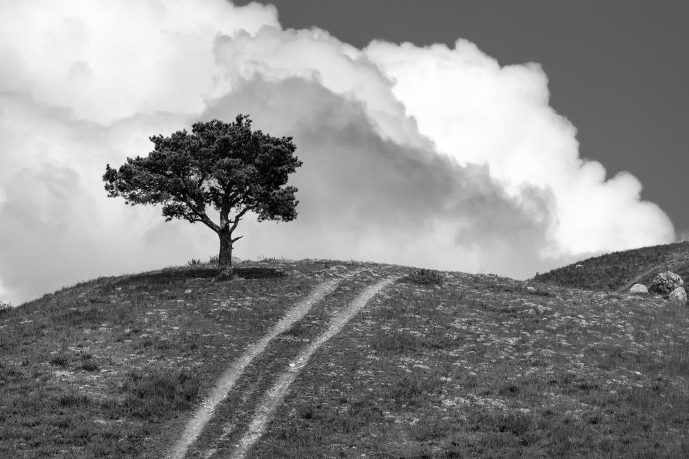 Photograph by Константин Пухов