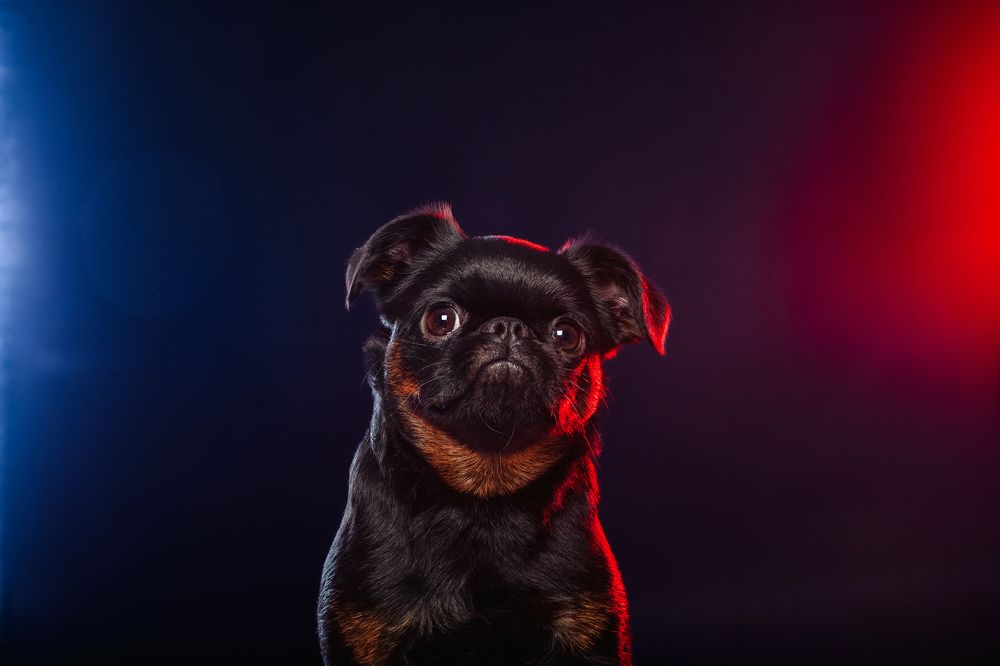 Photograph by Татьяна Степанова