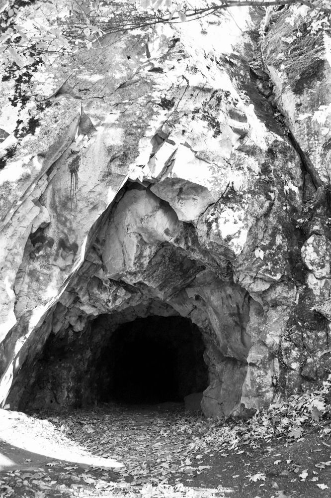 Photograph by Анастасия Сараева