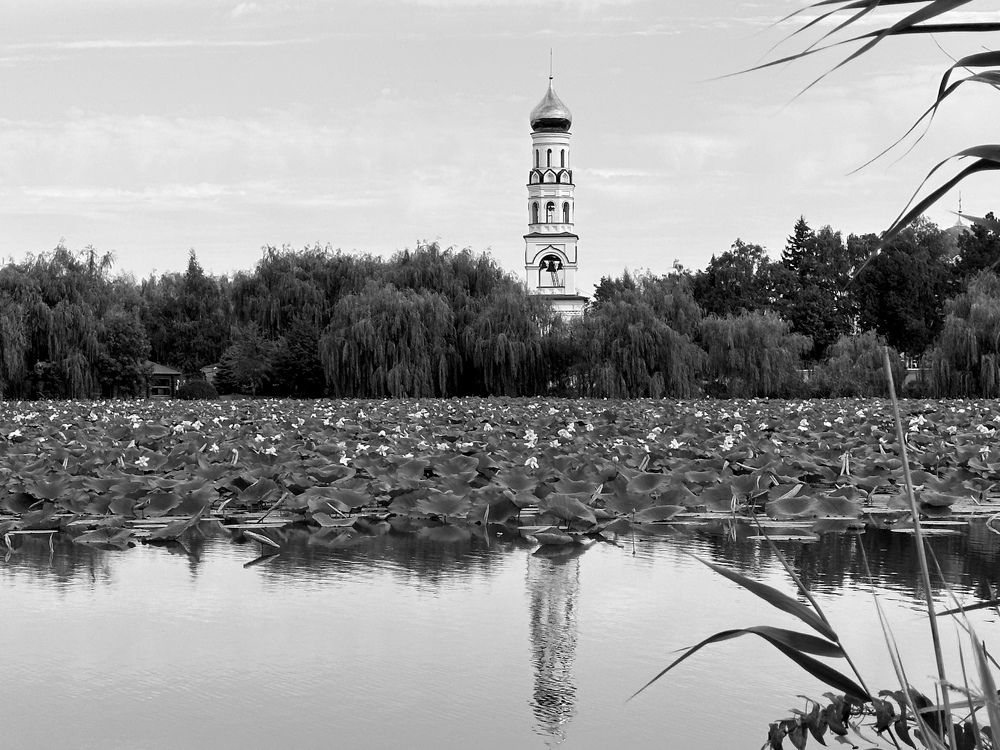 Photograph by Ksenia Sinitskaja