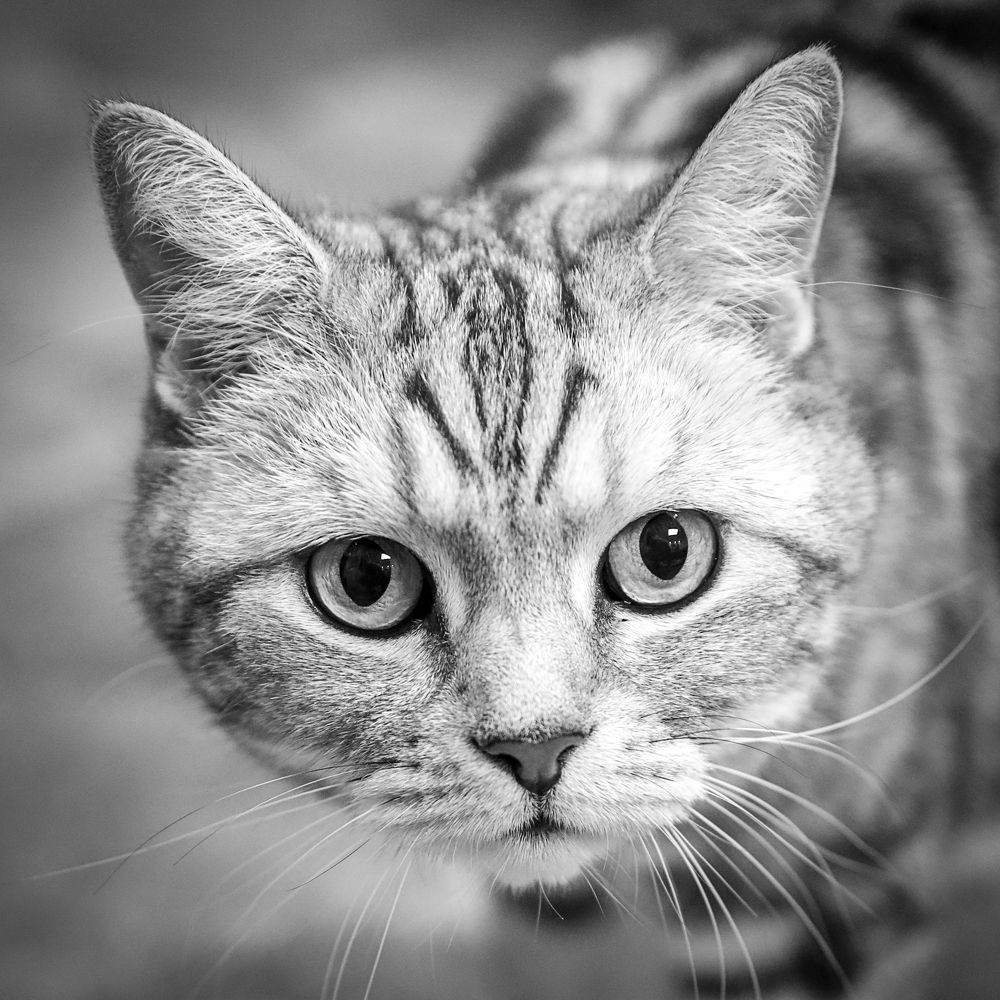 Photograph by Агарков Алексей