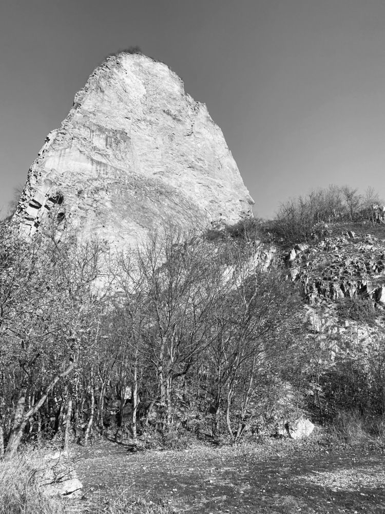 Photograph by Анастасия Сараева