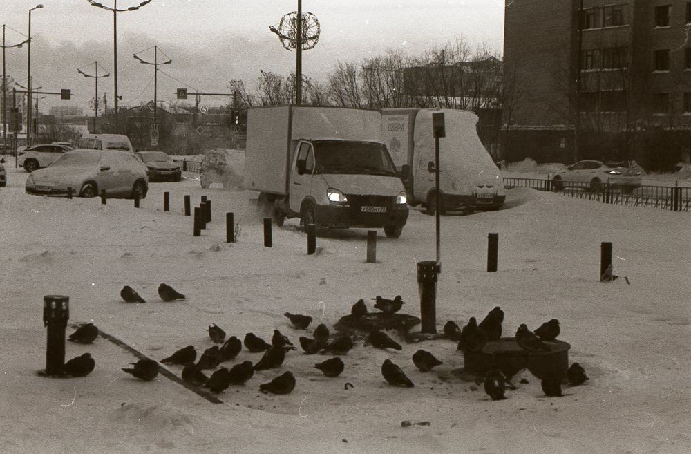 Photograph by владимир