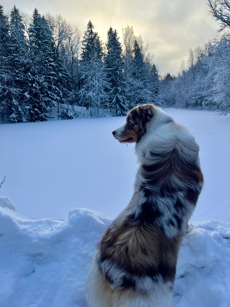 Photograph by Мария Гончарова